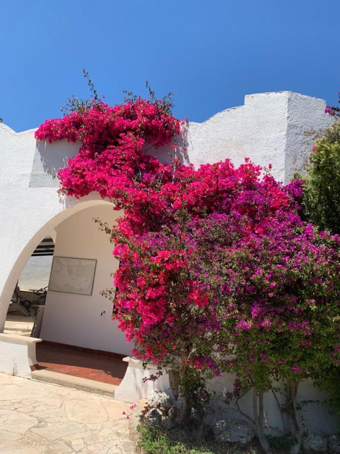 Villa Cecilia Polignano a Mare Zewnętrze zdjęcie